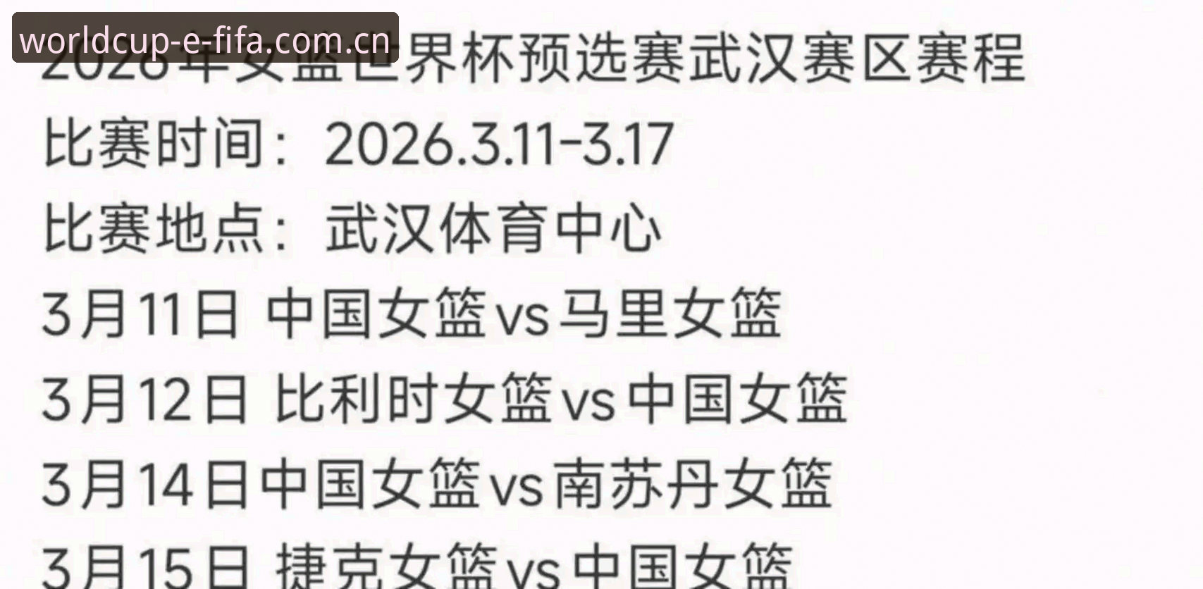 官方渠道vs第三方平台：2026世界杯购票指南全面对比分析